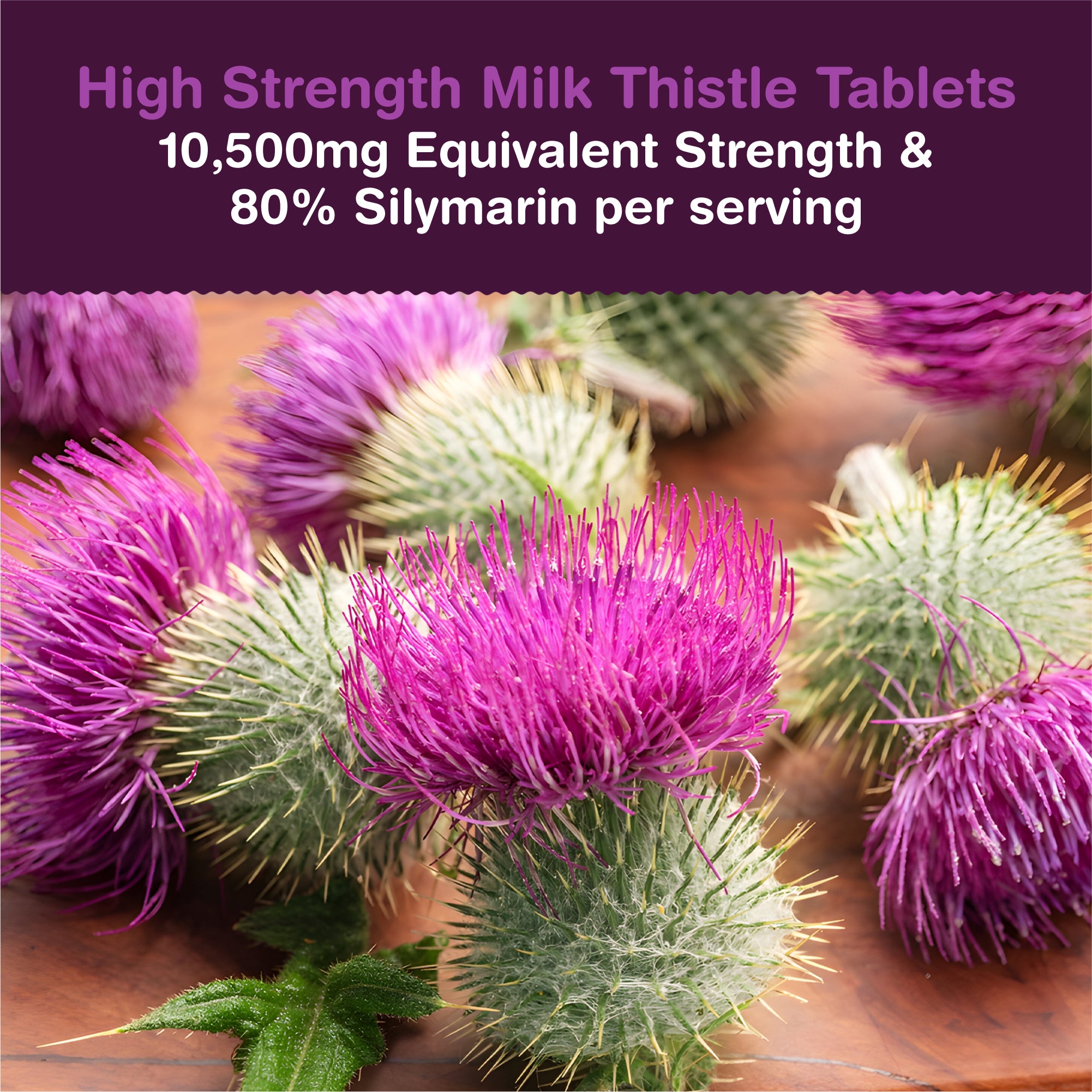 Milk Thistle High Strength | 10,500mg Per Two Tablet Serving | 120 Tablets Per Pouch