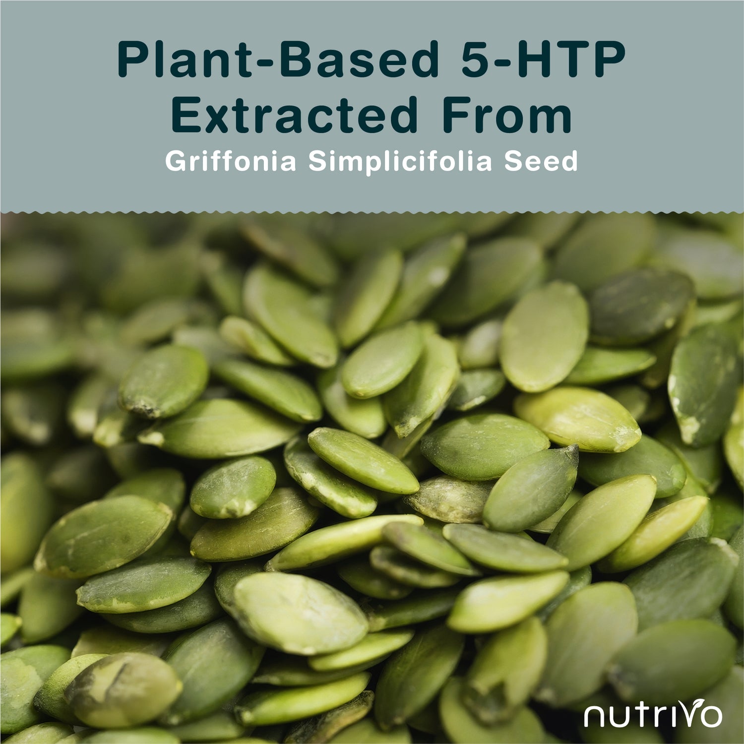 Nutrivo 5HTP Tablets - 90 Tablets Per Pack | 5HTP High Strength 1000mg Supplement | One A Day - 3 Months Supply | from Griffonia Seed Extract | Vegan &amp; UK Made
