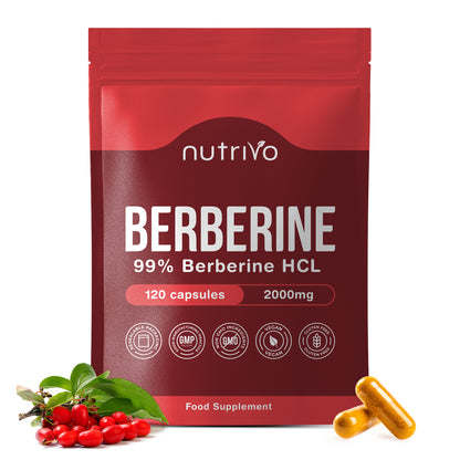 Berberine 2000mg Capsules from 200mg of 10:1 Berberine Extract | 120 Capsules - One A Day | 4 Months Supply