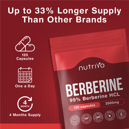 Berberine 2000mg Capsules from 200mg of 10:1 Berberine Extract | 120 Capsules - One A Day | 4 Months Supply