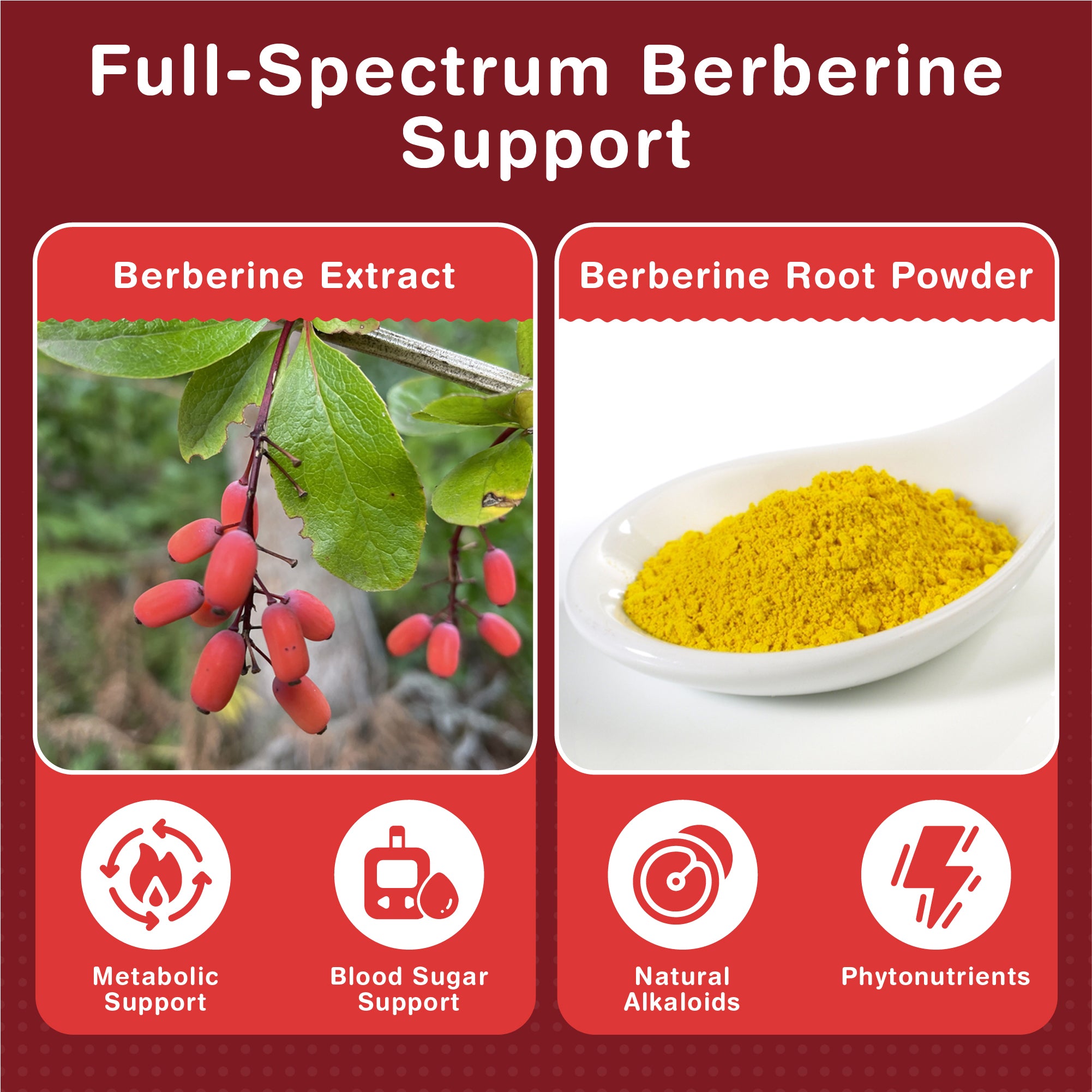 Berberine 2000mg Capsules from 200mg of 10:1 Berberine Extract | 120 Capsules - One A Day | 4 Months Supply