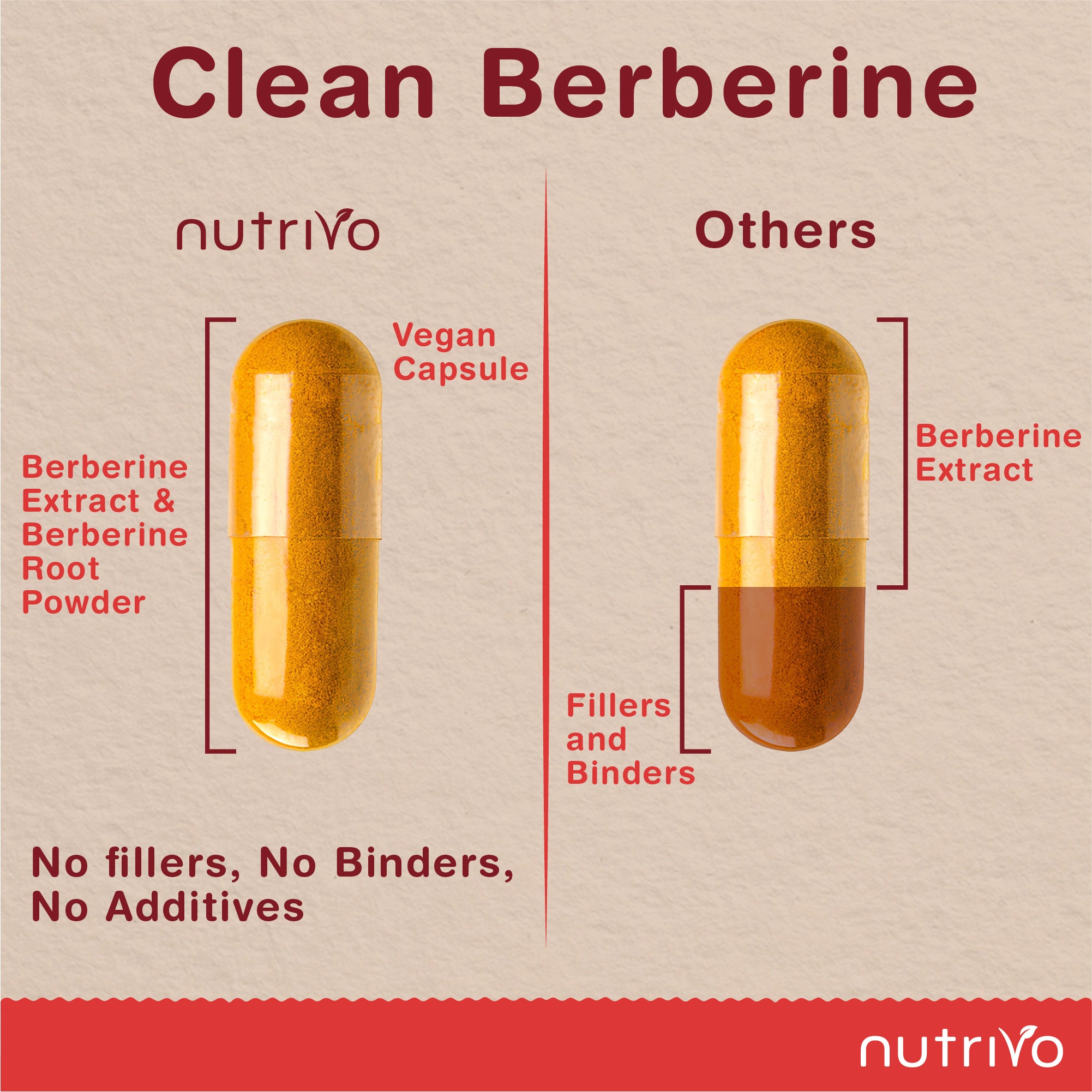 Berberine 2000mg Capsules from 200mg of 10:1 Berberine Extract | 120 Capsules - One A Day | 4 Months Supply