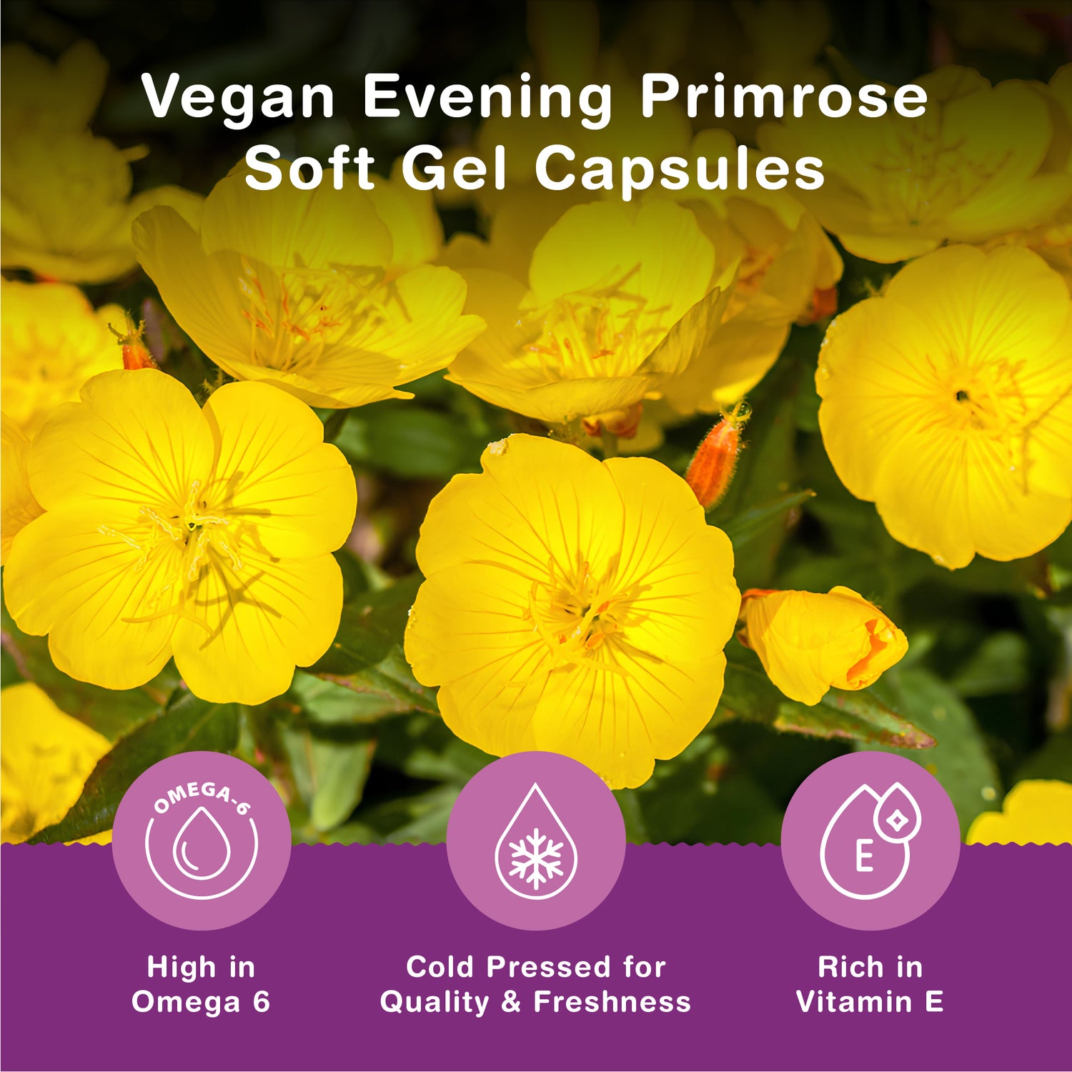 Evening Primrose Oil 1000mg (2000mg Per 2 Capsule Serving) | 90 Capsules Per Pouch | High Strength &amp; High GLA (Omega 6) Content | Cold Pressed | UK Made