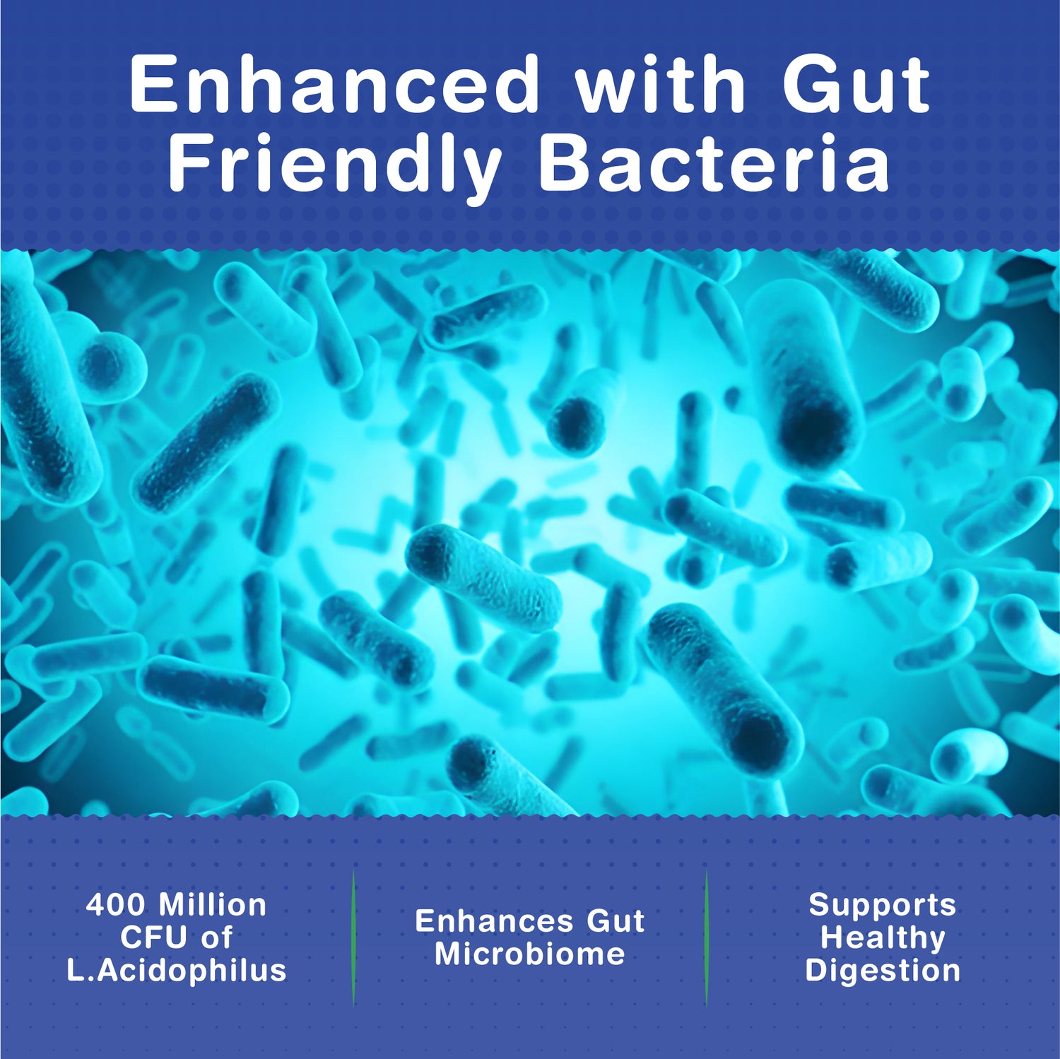 Fibre Supplement - Psyllium Husk 5000mg (500mg of 10:1 Extract) &amp; Probiotic 400 Million CFU Lactobacillus Acidophilus – Digestive, Gut Health Support &amp; Stool Softener -120 Psyllium Husks Capsules