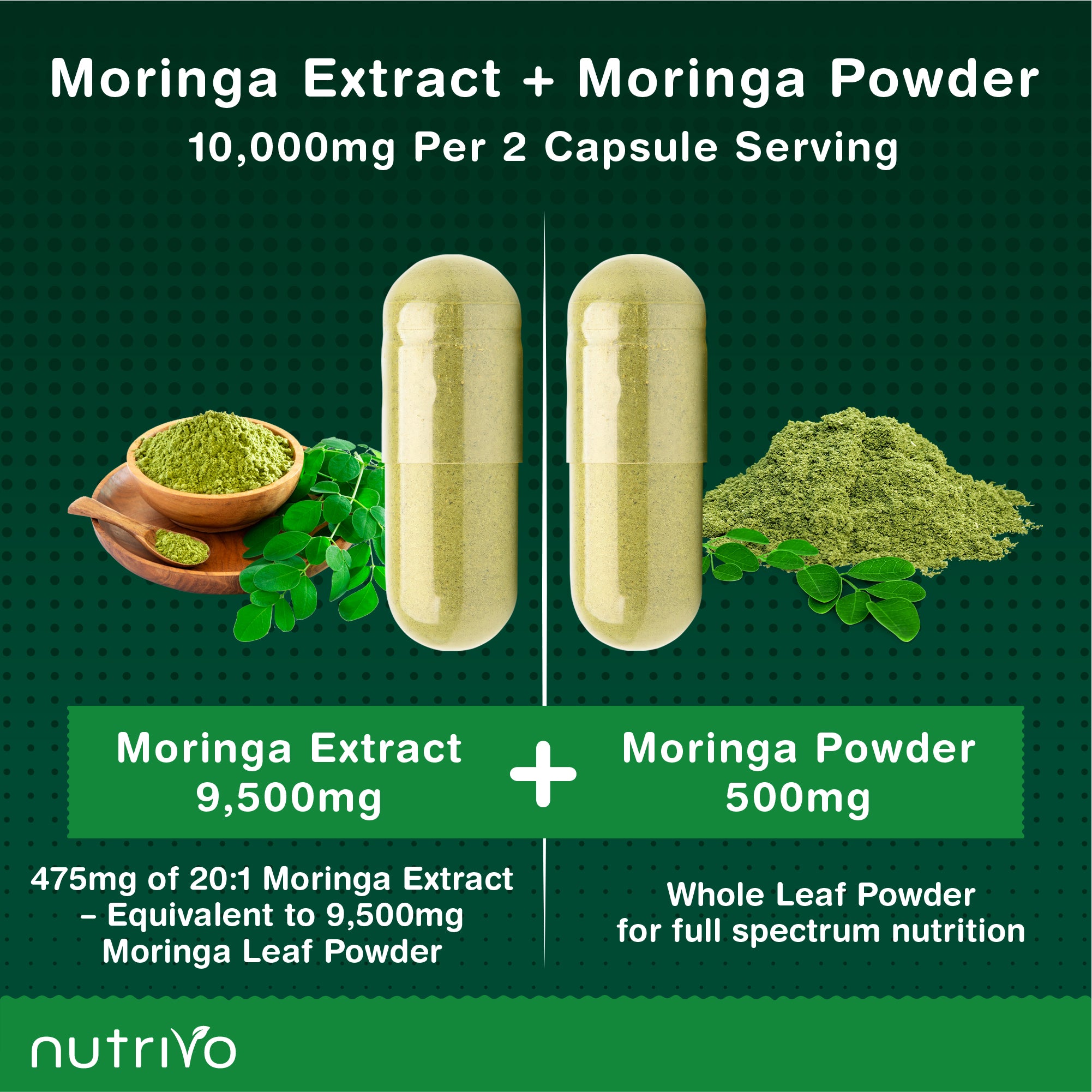Moringa Leaf Capsules | Dual Action Supplement - Powder and Moringa Leaf Extract | 120 Capsules - 2 Per Serving | 2 Months Supply | No Filler &amp; No Binders | UK Made
