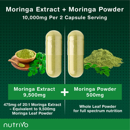 Moringa Leaf Capsules | Dual Action Supplement - Powder and Moringa Leaf Extract | 120 Capsules - 2 Per Serving | 2 Months Supply | No Filler &amp; No Binders | UK Made