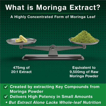Moringa Leaf Capsules | Dual Action Supplement - Powder and Moringa Leaf Extract | 120 Capsules - 2 Per Serving | 2 Months Supply | No Filler &amp; No Binders | UK Made