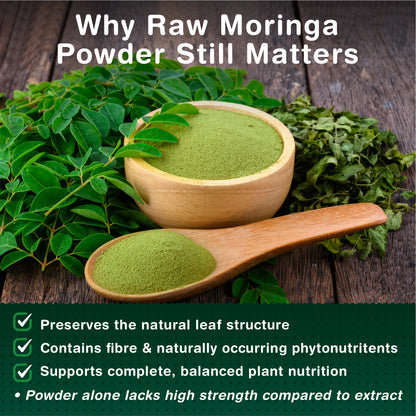 Moringa Leaf Capsules | Dual Action Supplement - Powder and Moringa Leaf Extract | 120 Capsules - 2 Per Serving | 2 Months Supply | No Filler &amp; No Binders | UK Made